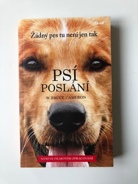 IMG_4598 Psí poslání - Obrázek 1