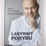 Labyrint pohybu - Pevná (2018)
