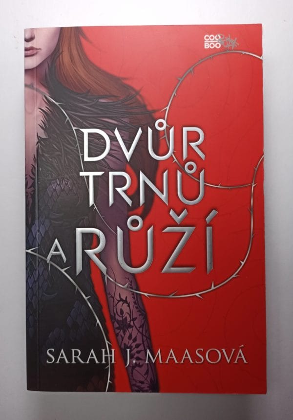 Dvůr trnů a růží - Obrázek 1