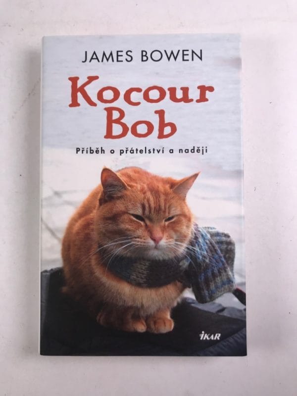 Kocour Bob - Obrázek 1