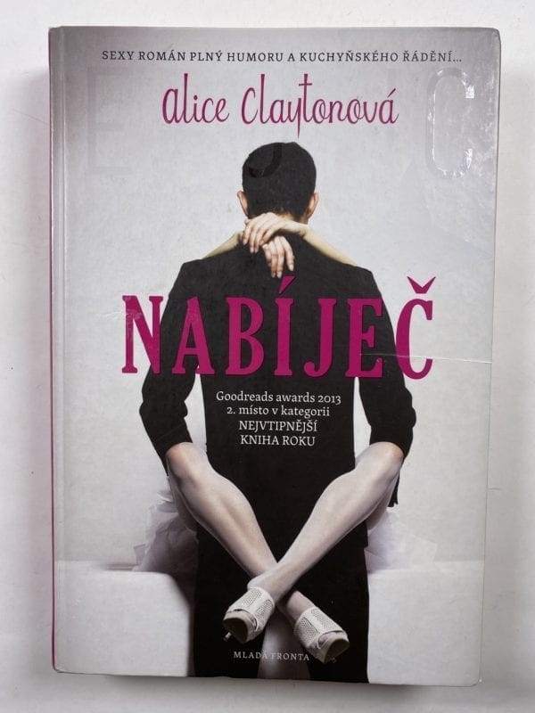 Nabíječ - Obrázek 1