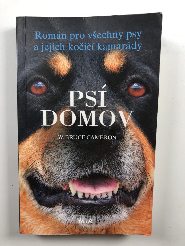 IMG_3197 Psí domov - Obrázek 1