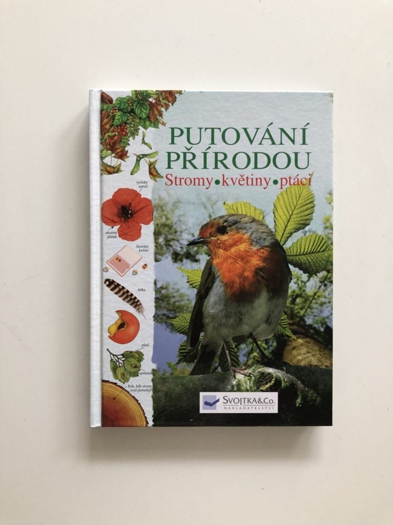 IMG_7271 Putování přírodou Stromy, květiny, ptáci - Obrázek 1
