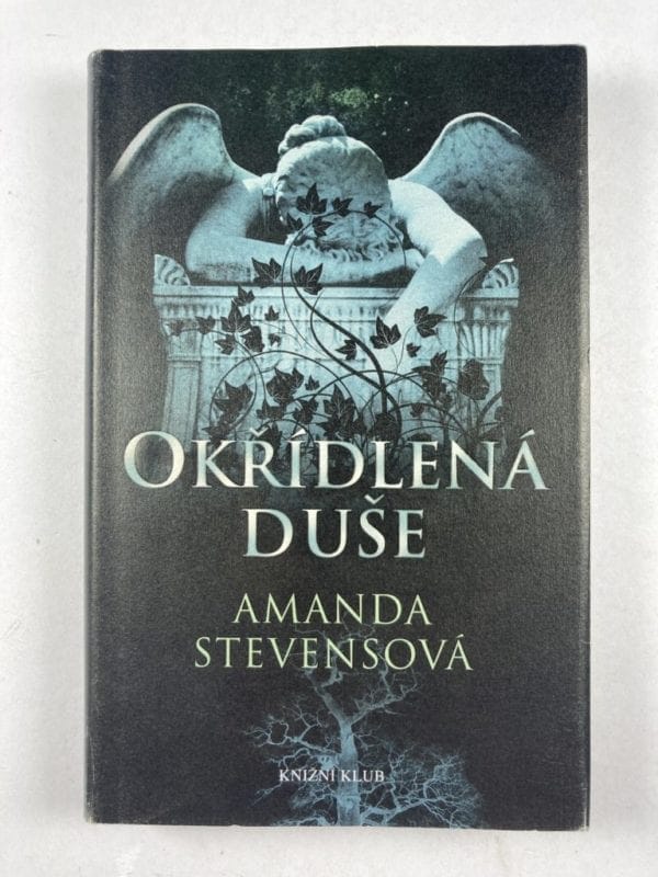 Okřídlená duše - Obrázek 1