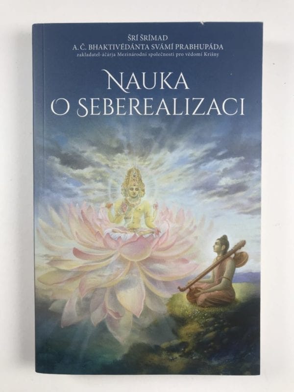 Nauka o seberealizaci - Obrázek 1