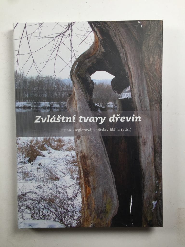 IMG_3273 Zvláštní tvary dřevin - Obrázek 1