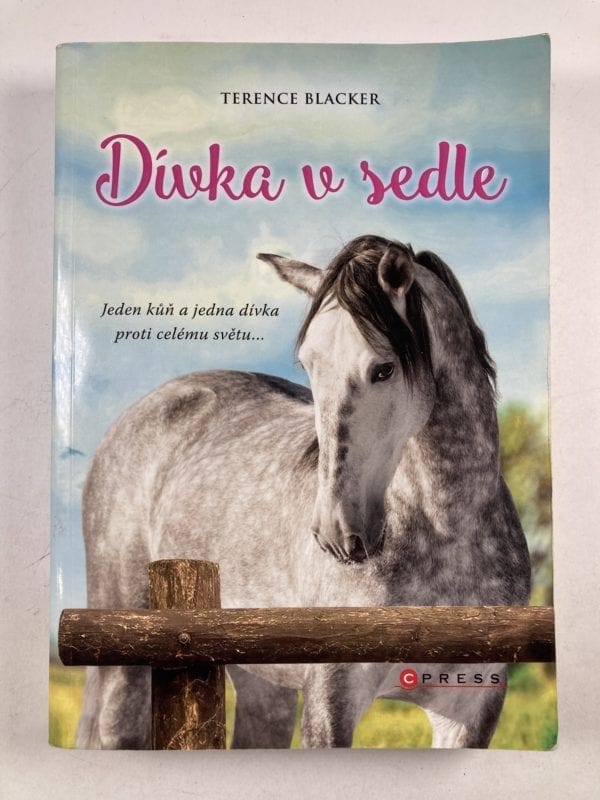 Dívka v sedle - Obrázek 1