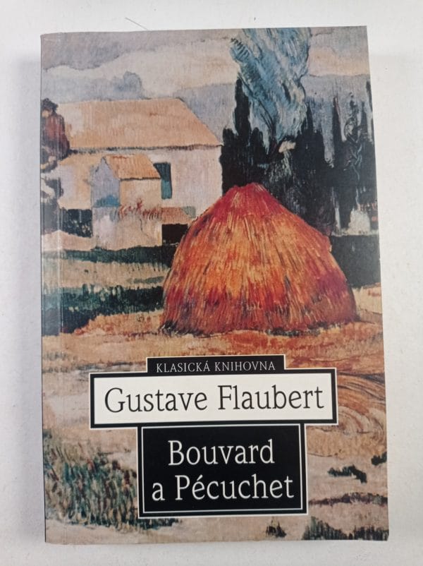 Bouvard a Pécuchet - Obrázek 1