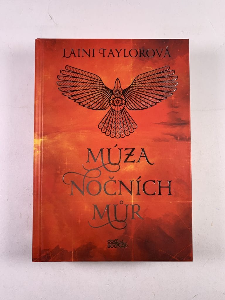 IMG_4289 Múza nočních můr - Obrázek 1