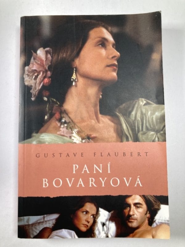 Paní Bovaryová - Obrázek 1