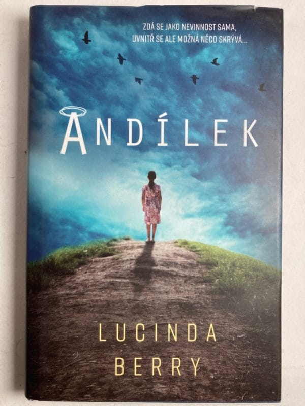 Andílek - Obrázek 1
