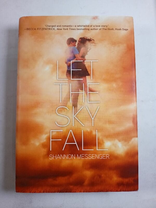 Sky Fall: Let the Sky Fall (1) - Obrázek 1