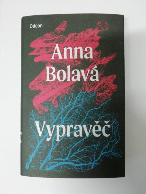 Vypravěč - Obrázek 1