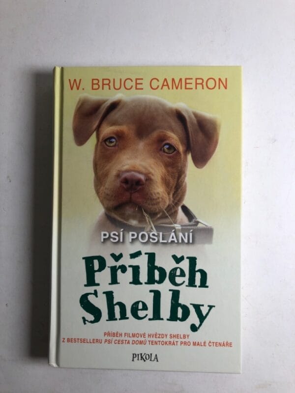 Příběh Shelby - Obrázek 1