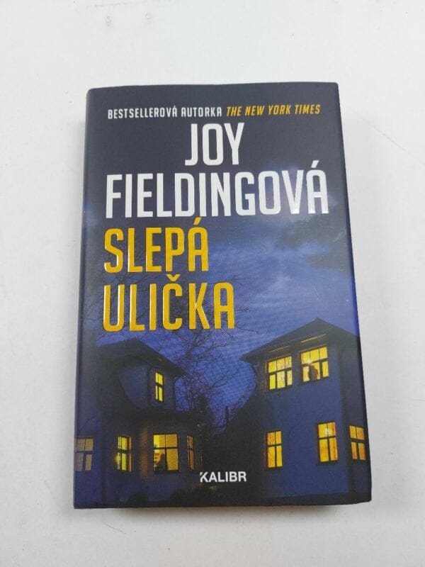 Slepá ulička - Obrázek 1