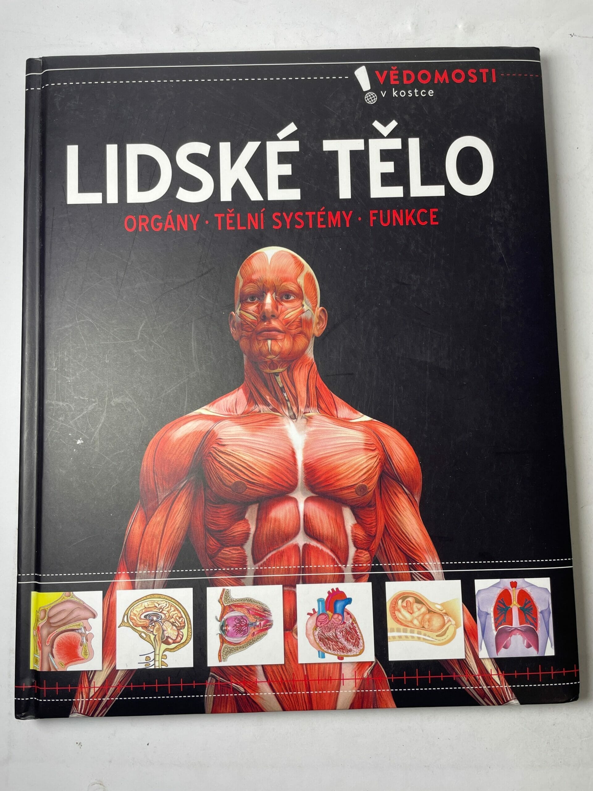 IMG_0551 Lidské tělo vědomosti v kostce - Obrázek 1