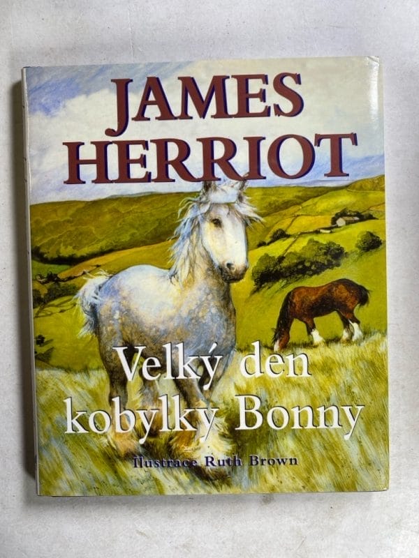 Velký den kobylky Bonny - Obrázek 1