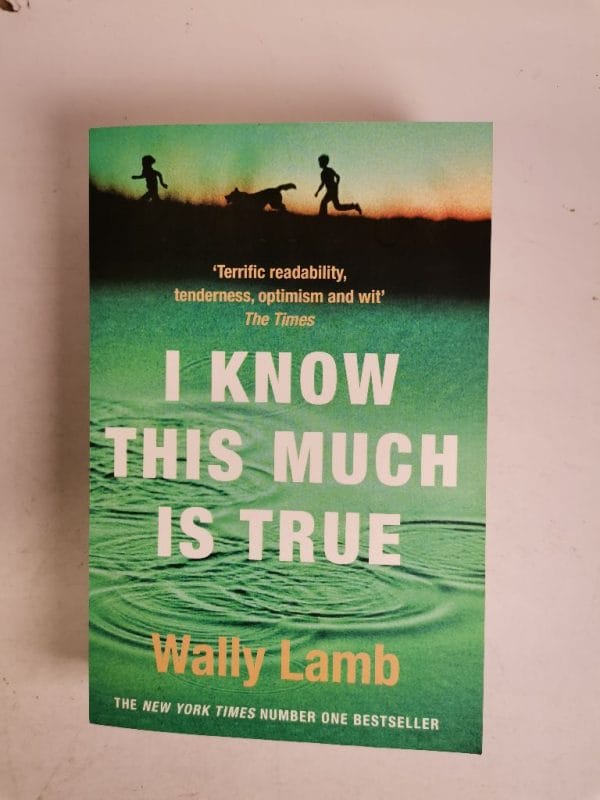 I know this much is True - Obrázek 1