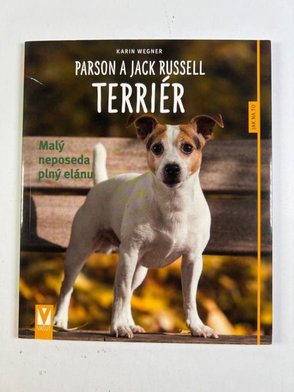 Parson a jack russell teriér - Obrázek 1