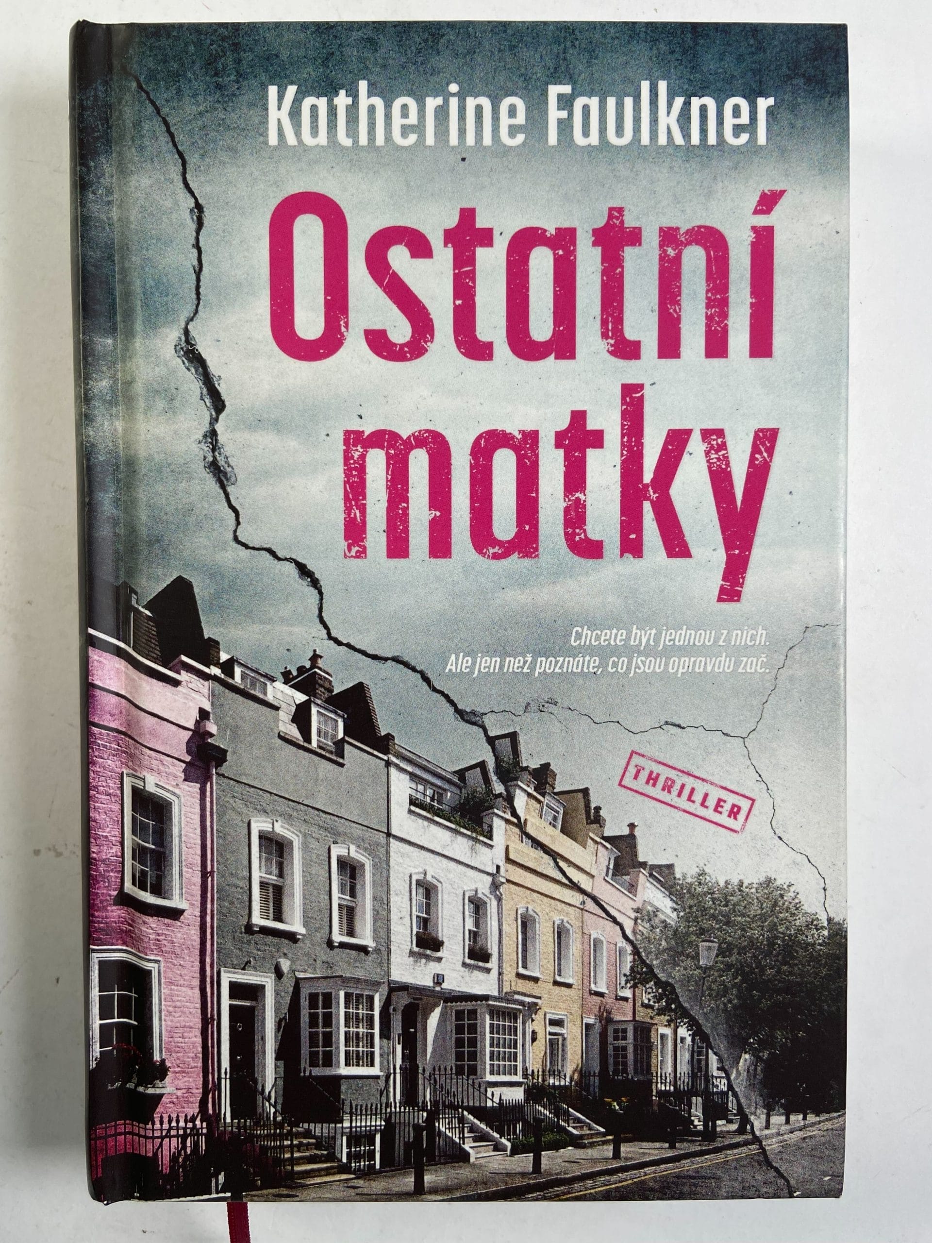 9788027721481 Ostatní matky - Obrázek 1