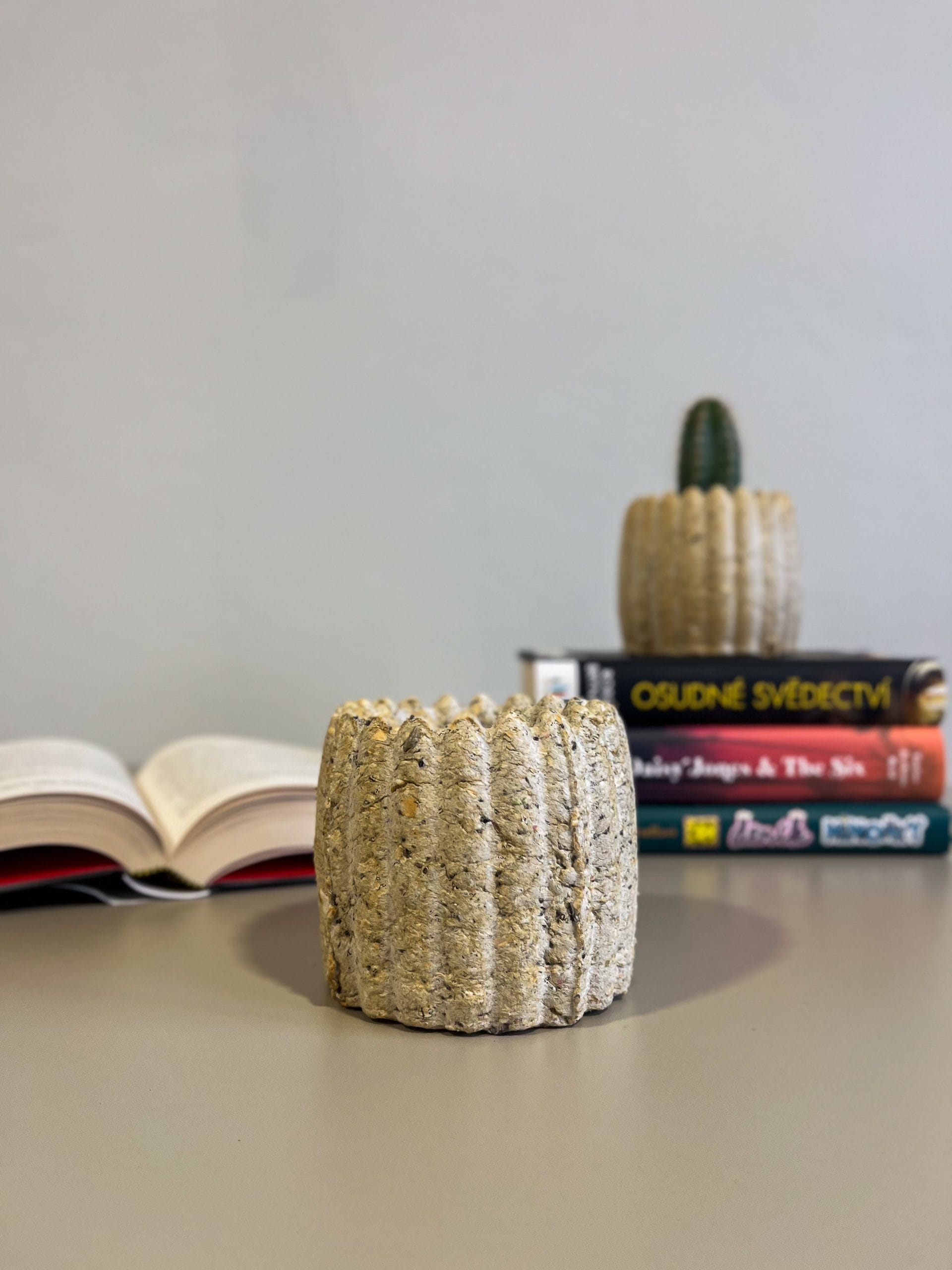 IMG_6140-min Květináč z recyklovaných knih - Obrázek 1