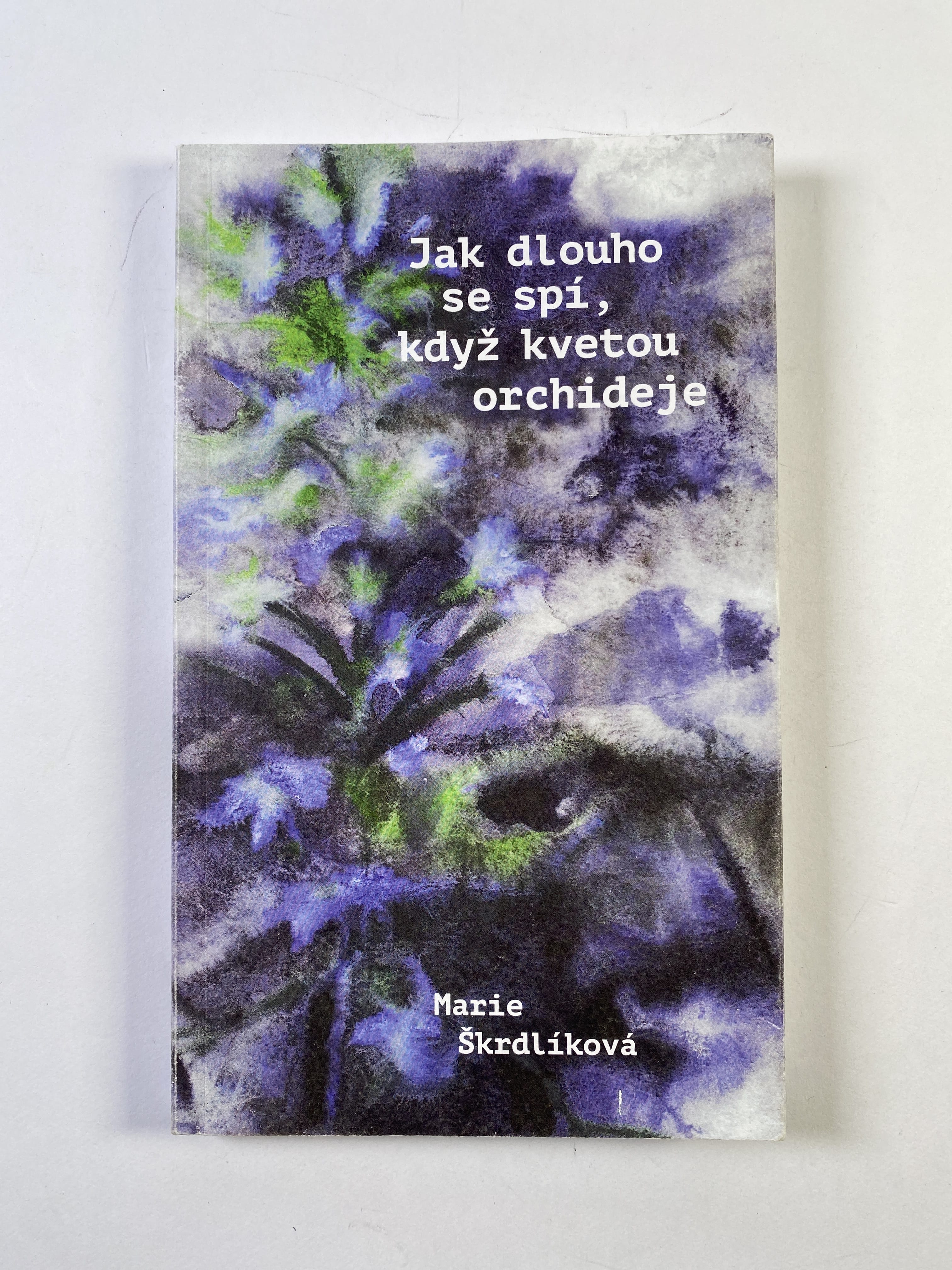 1aCPUkEnMu0_yhp0-VhLuZD7Rrh5ZMvTY.jpg Jak dlouho se spí, když kvetou orchideje - Obrázek 1